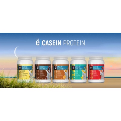   Casein Protein 100% 450 