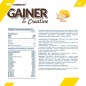 CyberMass Gainer+Creatine  1500 
